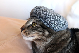 Kitty newsboy cap