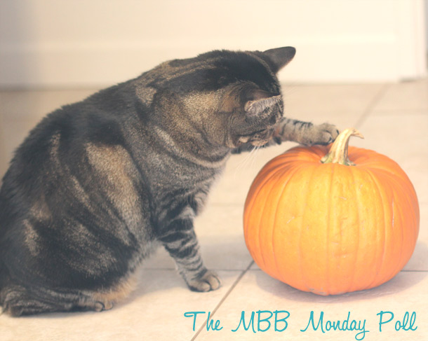 the makeup and beauty blog monday poll for october 29, 2012