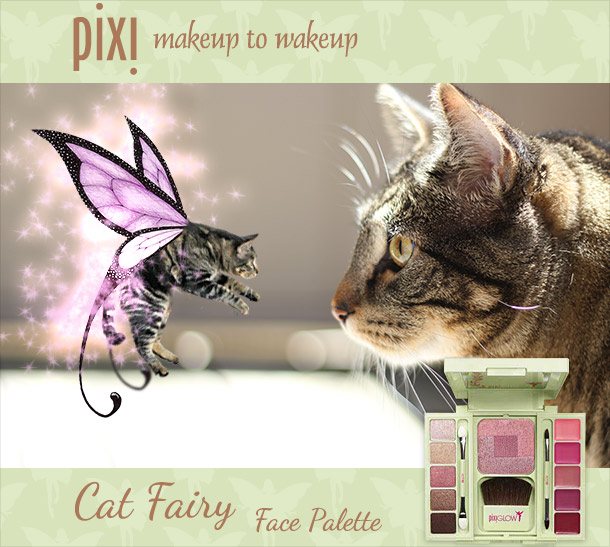 Tabs for the Pixi Cat Fairy Face Palette