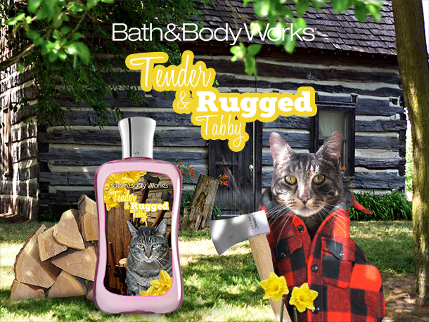 Tabs for Bath & Body Works Tender and Rugged Tabby