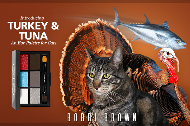 Tabs for the Bobbi Brown Turkey & Tuna Palette