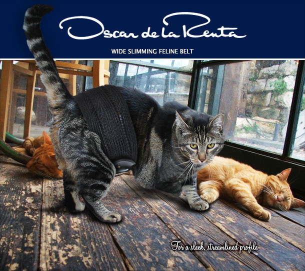 Tabs for the Oscar de la Renta Wide Slimming Cat Belt
