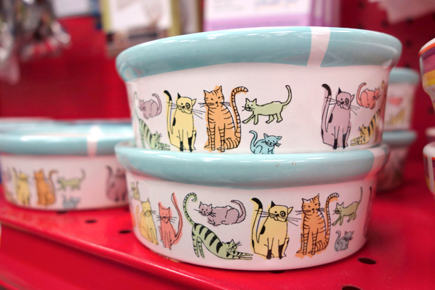 Colorful Ceramic Cat Bowl from Petco
