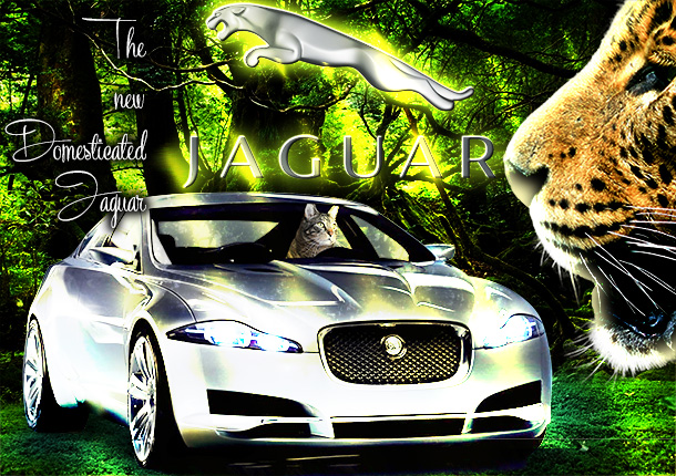 Tabs for Jaguar