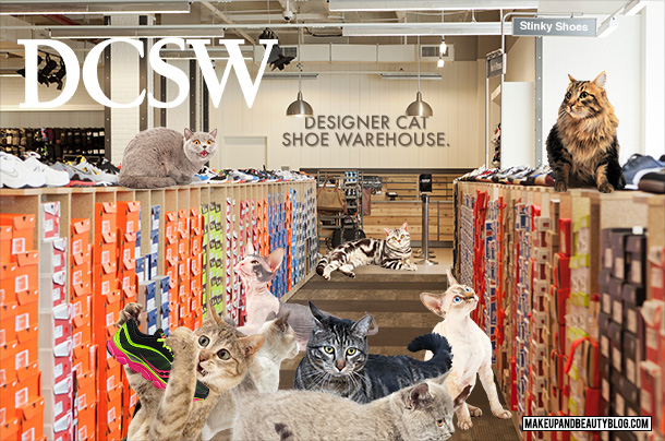 Tabs the Cat for DCSW Designer Cat Shoe Warehouse