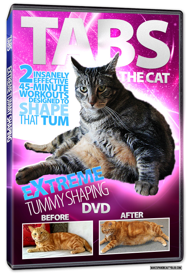 Tabs the Cat for the Feline Fitness DVD, Vol. 1