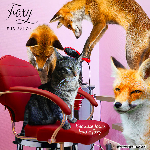 Tabs the Cat for Foxy Salons