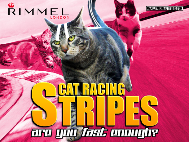 Tabs the cat for Rimmel Cat Racing Stripes