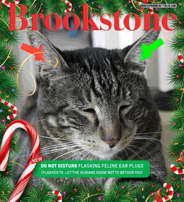 Tabs the Cat for the Brookstone Flashing Feline Ear Plugs