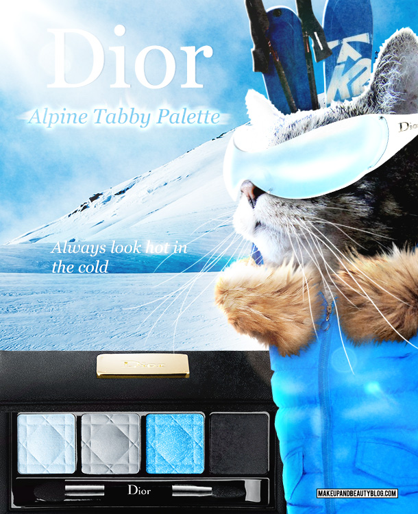 Tabs the Cat for the Dior Winter Palette