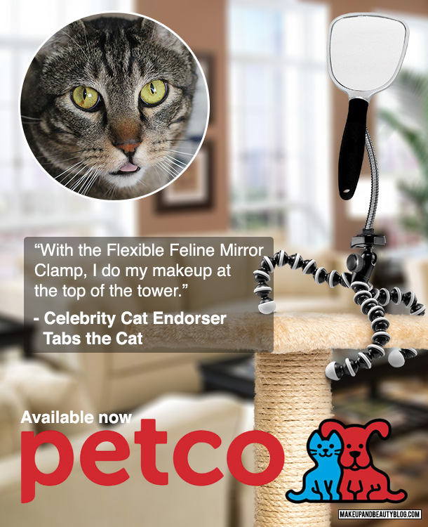 Tabs the Cat for the Petco Cat Mirror Flexible Stand