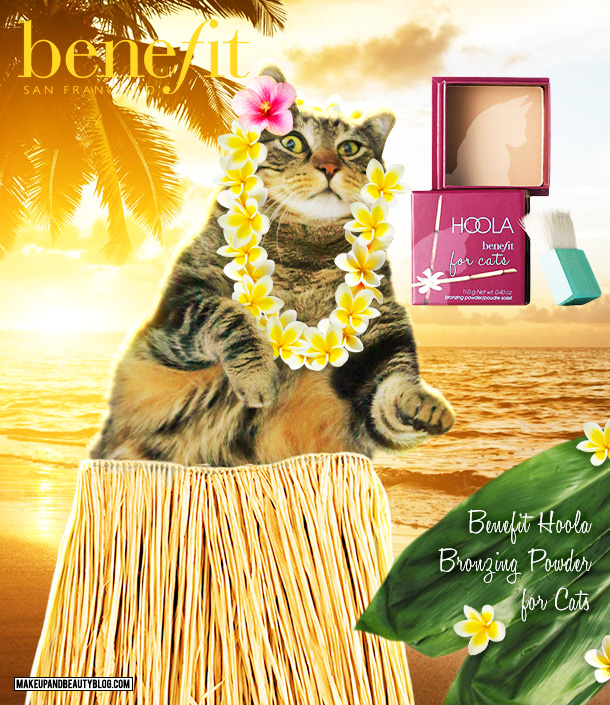 Tabs the Cat for Benefit Hoola Bronzer for Cats