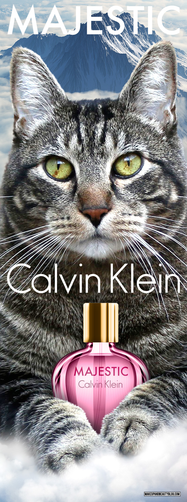 Tabs the Cat for Calvin Klein Majestic