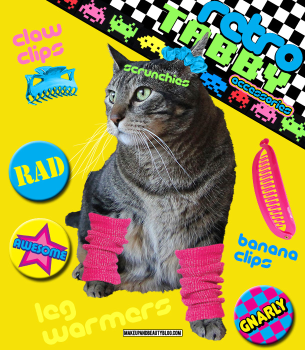 Tabs the Cat for Retro Tabby Accessories