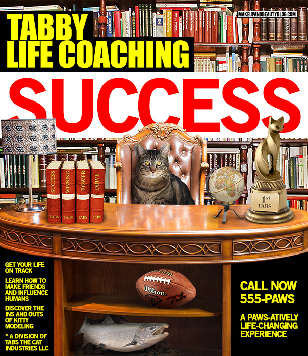 Tabs the Cat for Tabby Life Coaching