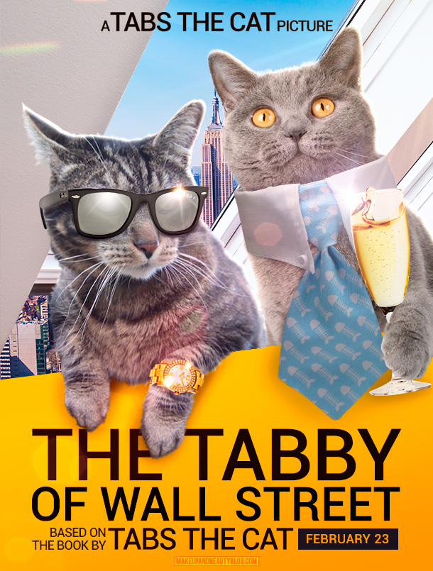 Tabs the Cat starring in The Tabby of Wall Street