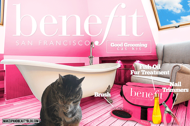 Tabs the Cat for the Benefit Good Grooming Cat Kit