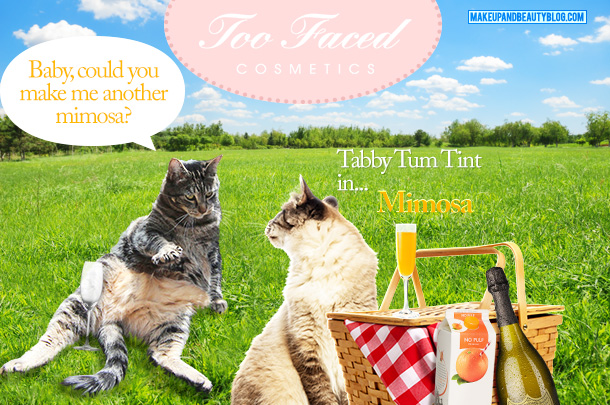 Tabs the Cat for Too Faced Tabby Tum Tint in Mimosa