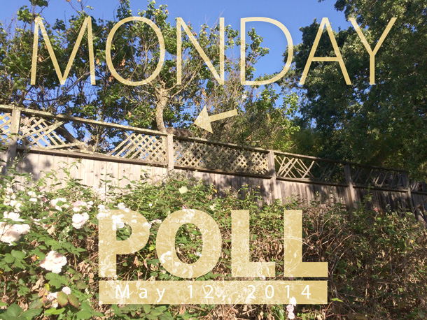The Makeup and Beauty Blog Monday Poll for May 12, 2014