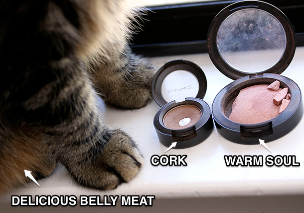 From the left: Tabs the Cat, MAC Eye Shadow in Cork and MAC Mineralize Blush in Warm Soul