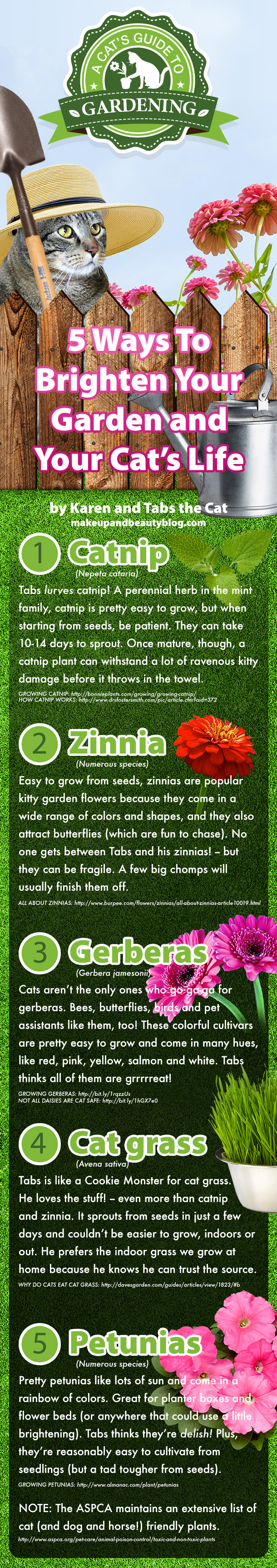 5 Cat-Safe Plants for Your Garden