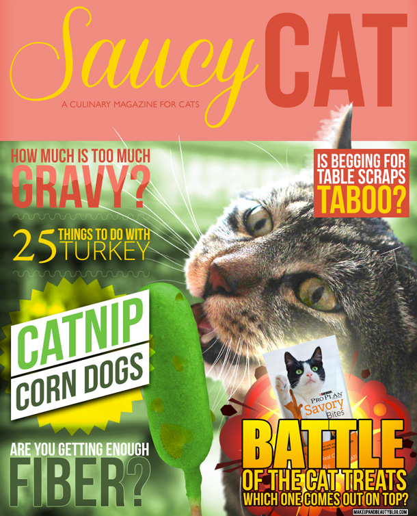 Tabs the Cat for Saucy Cat Magazine