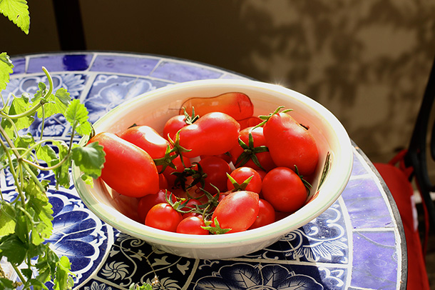 Romas and Cherry Tomatoes (2)