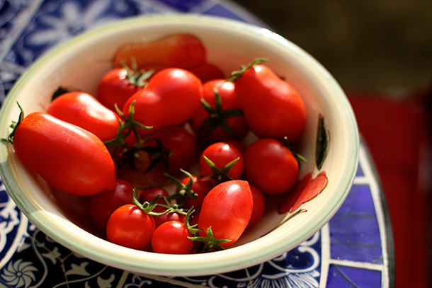 Romas and Cherry Tomatoes (3)