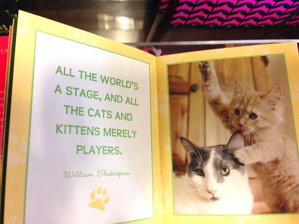 smitten-with-kittens-book-3