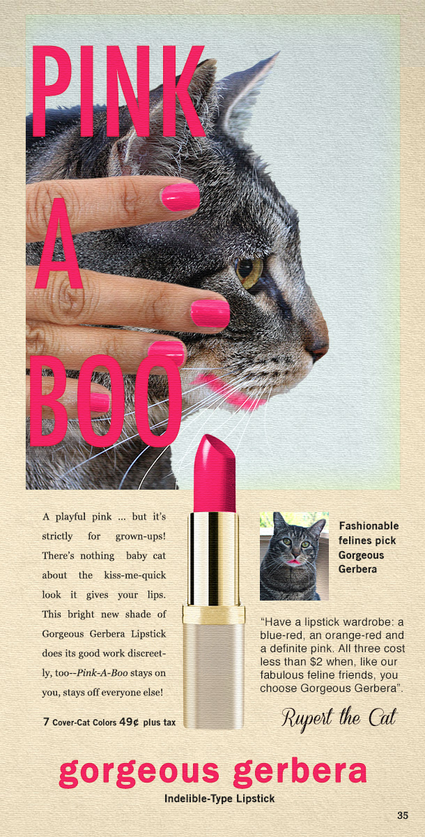 Tabs the Cat for Gorgeous Gerbera Lipstick