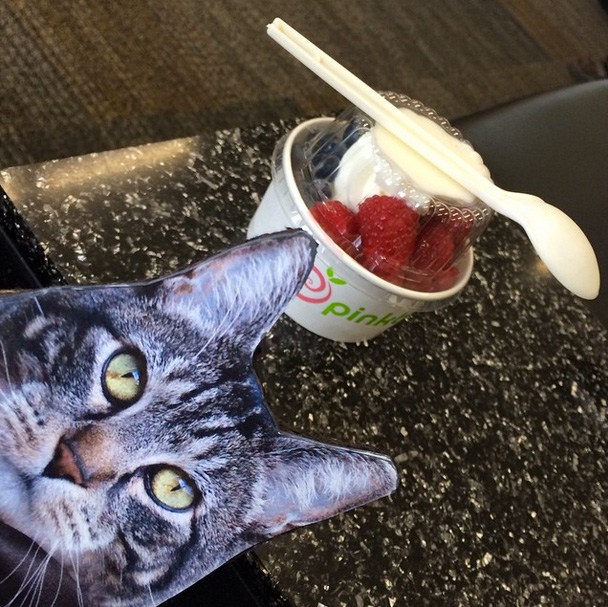 Even Tabs loves Pinkberry