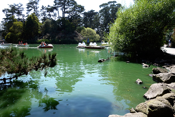 Paddle boating on Stow Lake in San Francisco's Golden Gate Park