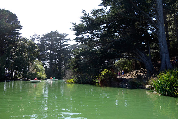 Paddle boating on Stow Lake in San Francisco's Golden Gate Park