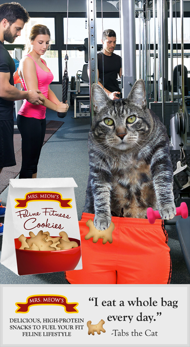 Tabs for new Feline Fitness Cookies