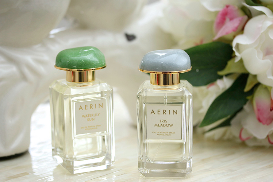 waterlily sun aerin