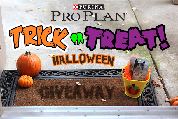 The Purina Pro Plan Cat Treats Halloween Giveaway