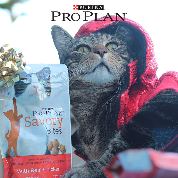 A Purina Pro Plan Cat Treat Giveaway