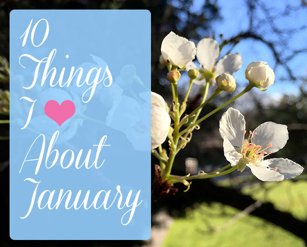 10 Things I Love About January