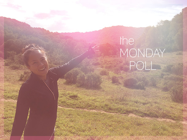 The Makeup and Beauty Blog Monday Poll for February 2, 2015