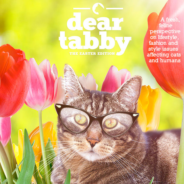 Dear Tabby: The Easter Edition
