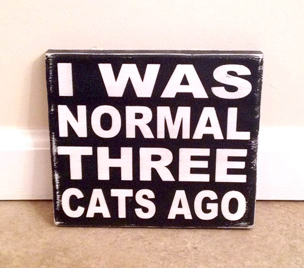 i-was-normal-three-cats-ago