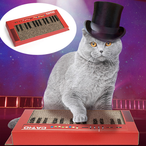 keyboard cat scratcher