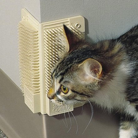 kitty-corner-comb