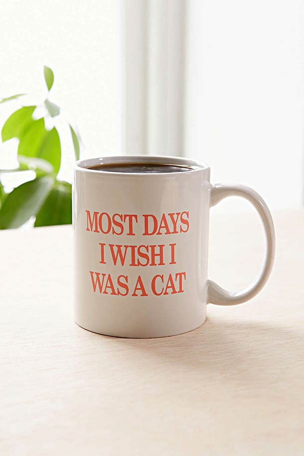 most-days-i-wish-i-was-a-cat