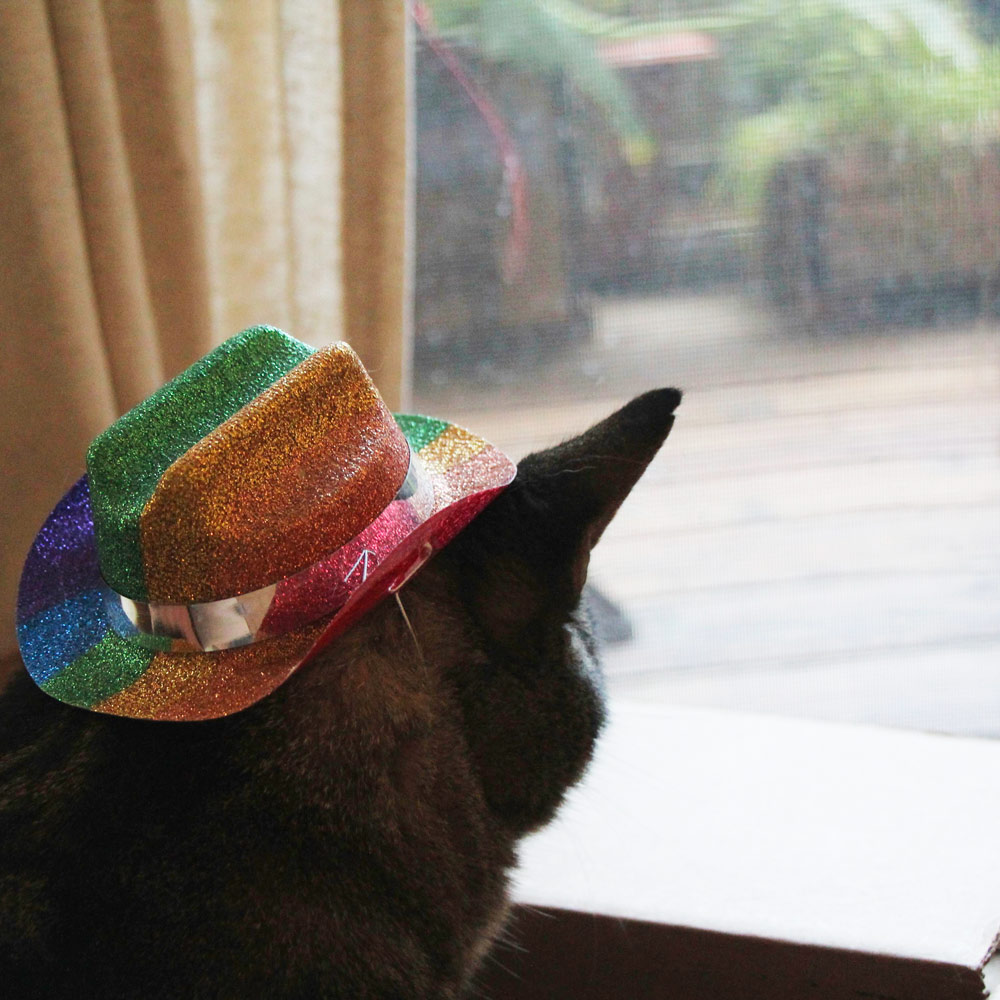1-tabs-rainbow-kitty-hat