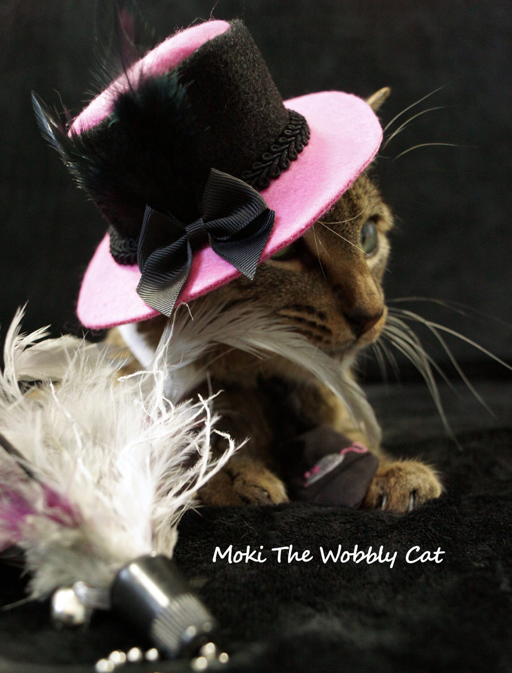 pink-black-cat-hat