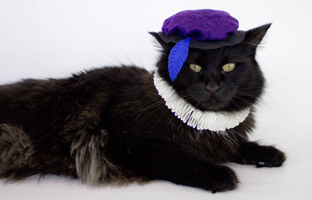 Renaissance cat costume