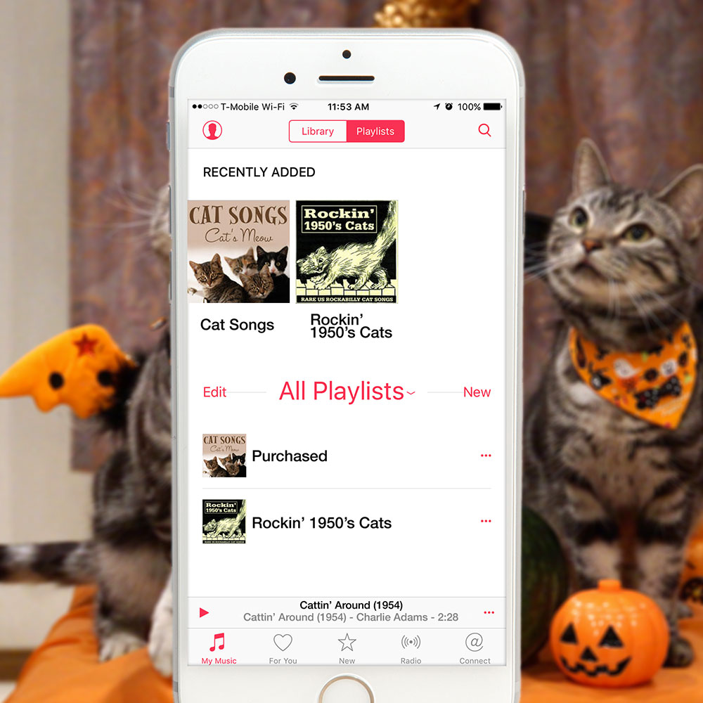 tabs-cat-songs-playlist-halloween-2015