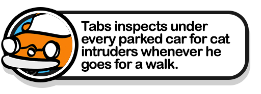 tabs-inspects-cars-popup