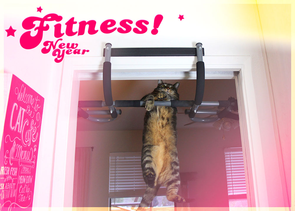 Workin' on my fitness with kitty pull-ups...